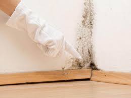 Forensic Mold Investigation in Leisure World, MD